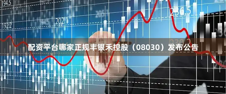 配资平台哪家正规丰银禾控股（08030）发布公告