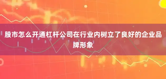 股市怎么开通杠杆公司在行业内树立了良好的企业品牌形象