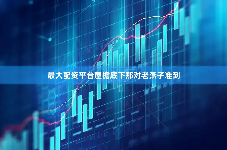 最大配资平台屋檐底下那对老燕子准到