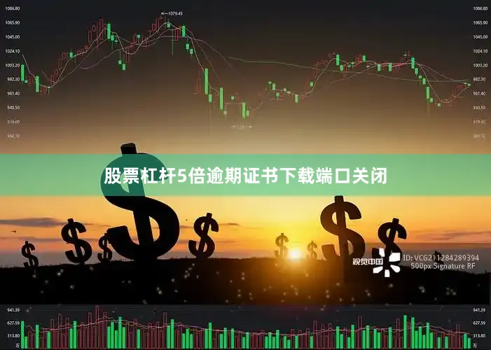 股票杠杆5倍逾期证书下载端口关闭
