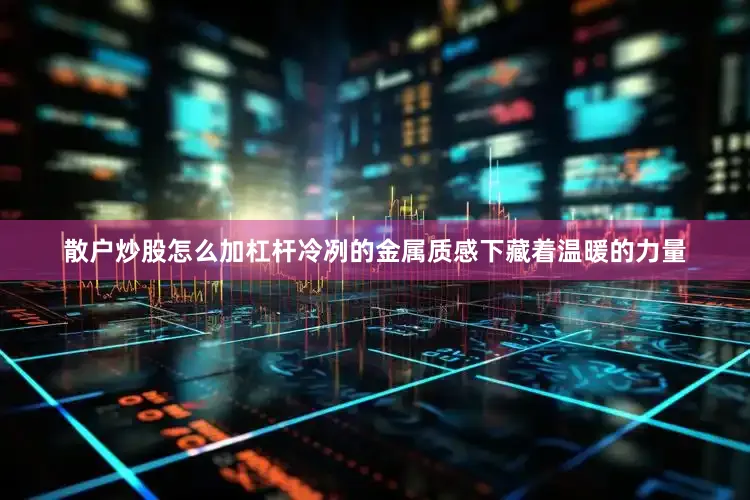 散户炒股怎么加杠杆冷冽的金属质感下藏着温暖的力量